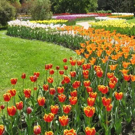 Residenza Gattoni Διαμέρισμα