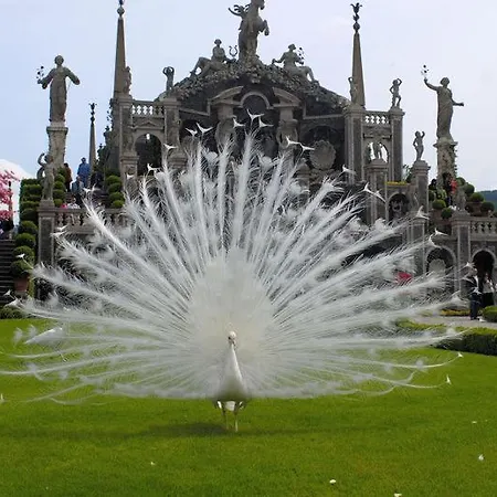 Residenza Gattoni Apartman Omegna