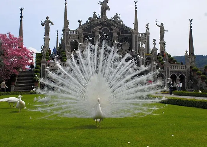 Residenza Gattoni Apartmán Omegna